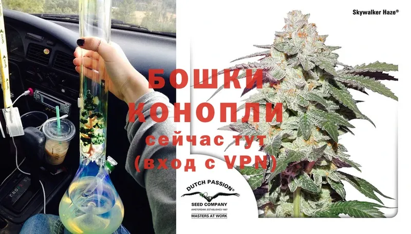 продажа наркотиков  Асино  Конопля OG Kush 